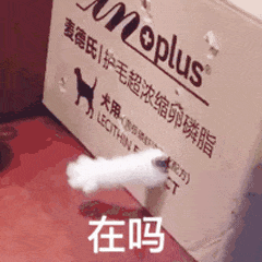 示例图片